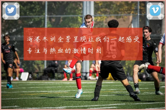 海港冬训全景呈现让我们一起感受专注与热血的激情时刻
